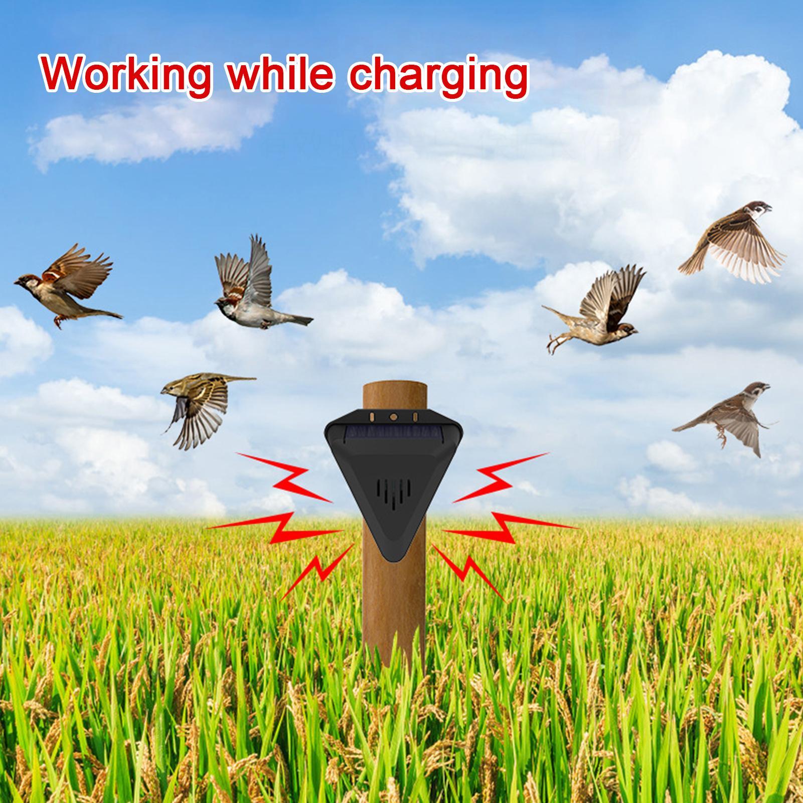 Répulsif à oiseaux solaire ave - Outdoor Power With Timer avis et prix